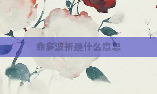 命多波折是什么意思