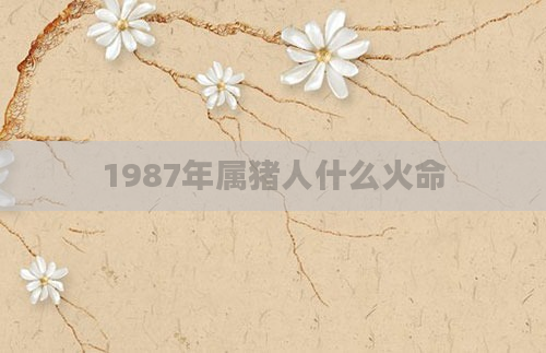 1987年属猪人什么火命