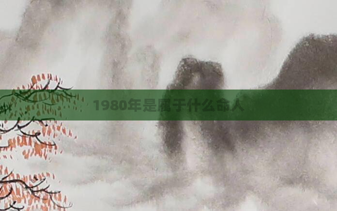 1980年是属于什么命人