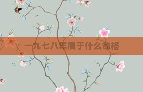 一九七八年属于什么命格