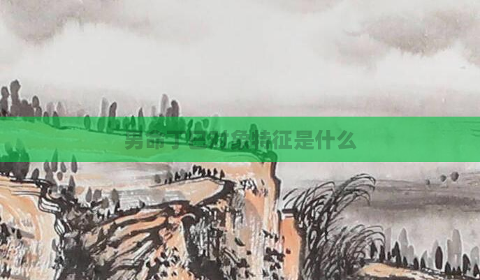 男命丁巳对象特征是什么