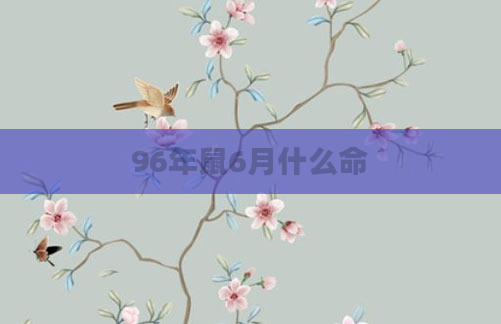96年鼠6月什么命