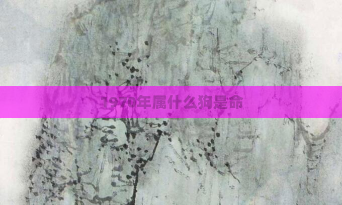 1970年属什么狗是命