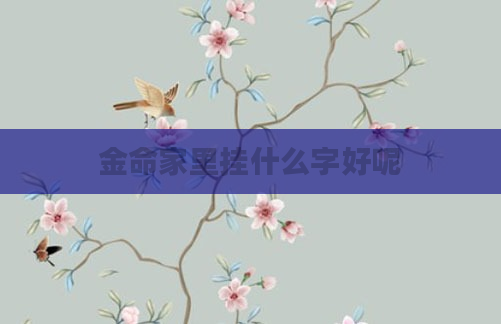 金命家里挂什么字好呢