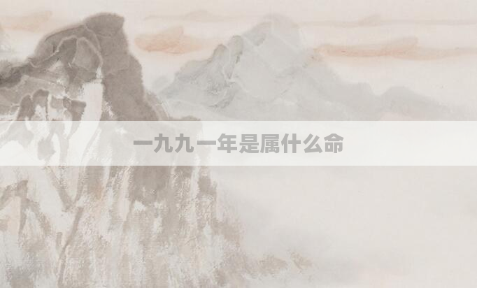 一九九一年是属什么命