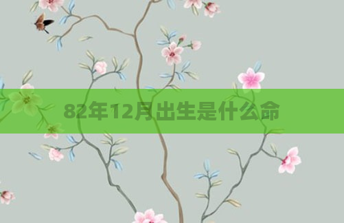82年12月出生是什么命
