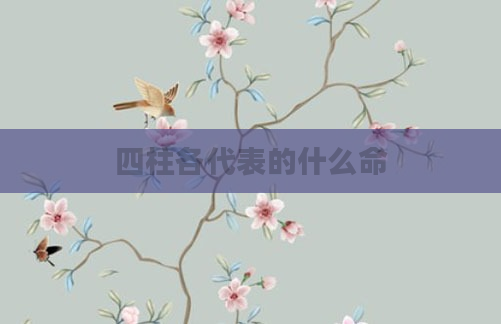 四柱各代表的什么命
