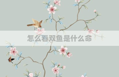 怎么看双鱼是什么命