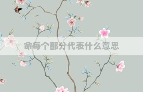 命每个部分代表什么意思