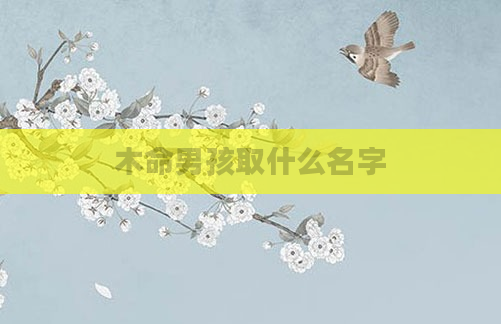 木命男孩取什么名字