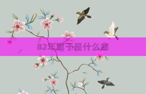 82年属于是什么命
