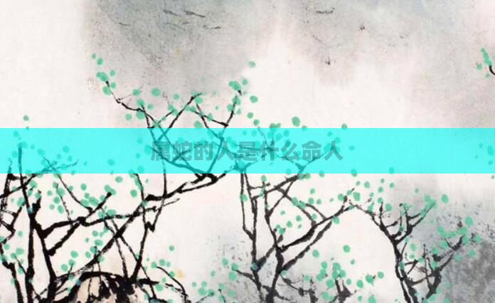 属蛇的人是什么命人