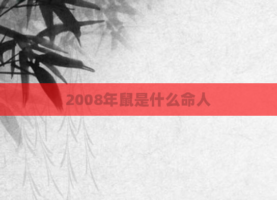 2008年鼠是什么命人