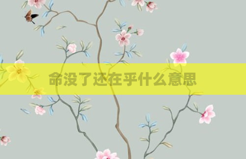 命没了还在乎什么意思