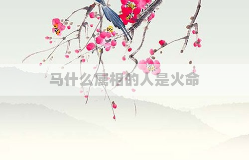 马什么属相的人是火命