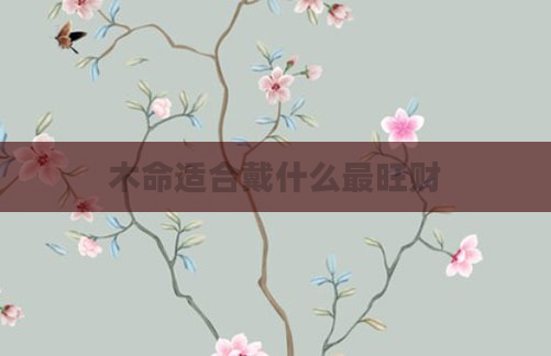 木命适合戴什么最旺财