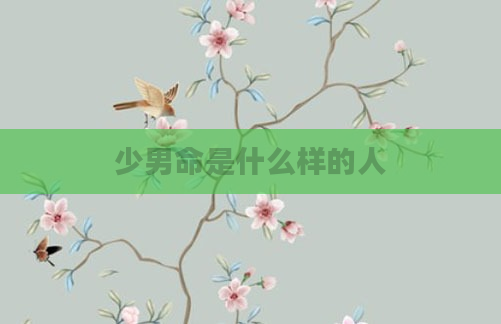 少男命是什么样的人