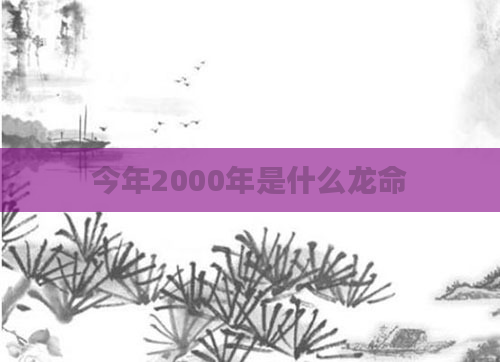 今年2000年是什么龙命