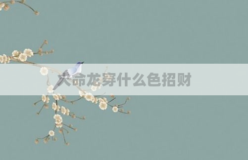 火命龙穿什么色招财