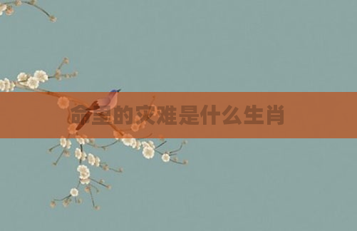 命里的灾难是什么生肖