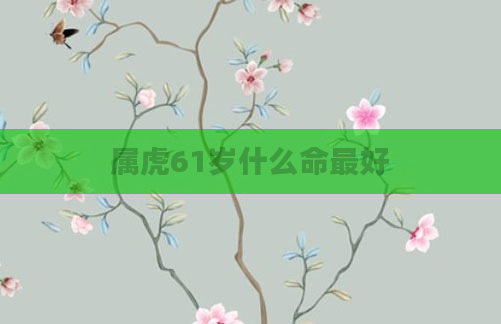 属虎61岁什么命最好