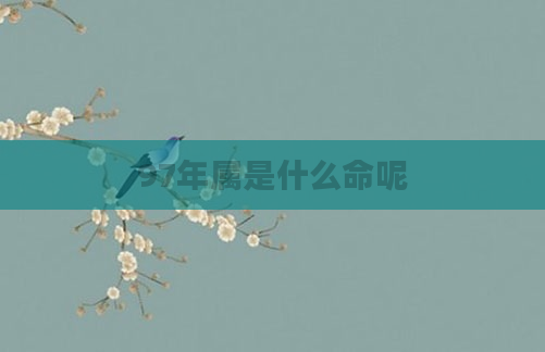 97年属是什么命呢