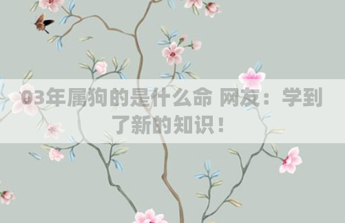 03年属狗的是什么命 网友：学到了新的知识！