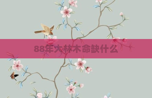 88年大林木命缺什么