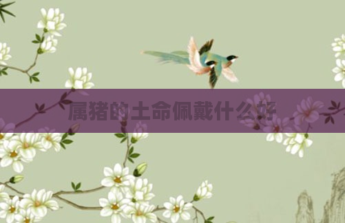 属猪的土命佩戴什么好