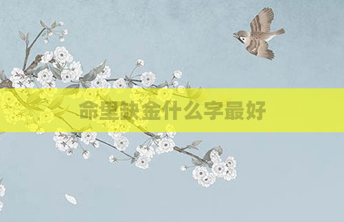 命里缺金什么字最好