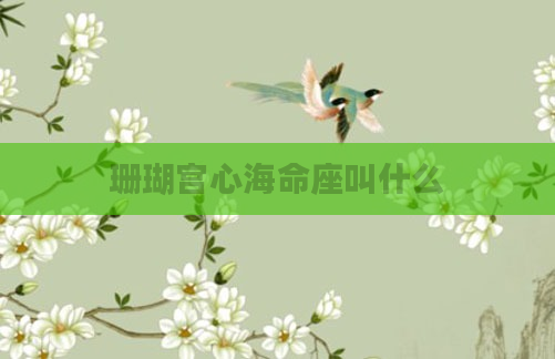 珊瑚宫心海命座叫什么