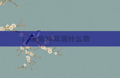 属兔75年属什么命