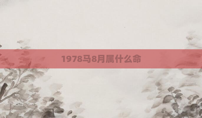 1978马8月属什么命