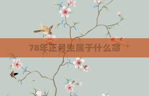 78年正月生属于什么命