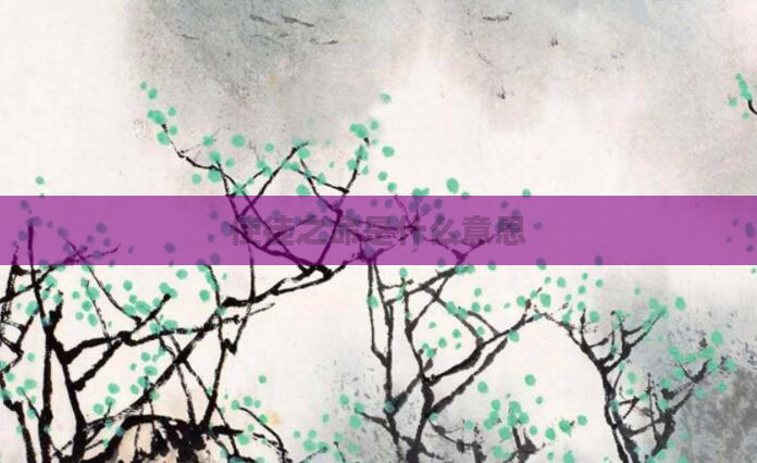 使徒之命是什么意思