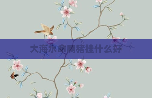 大海水命属猪挂什么好