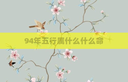 94年五行属什么什么命