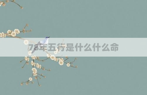 78年五行是什么什么命