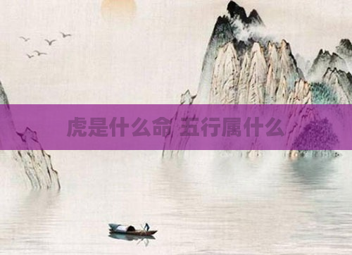 虎是什么命 五行属什么