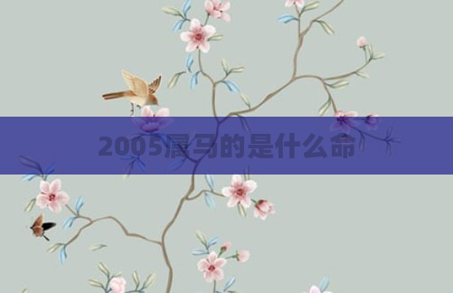 2005属马的是什么命