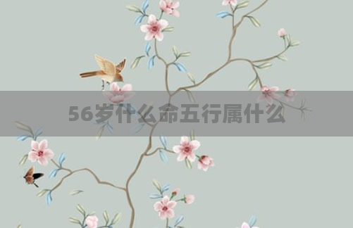 56岁什么命五行属什么