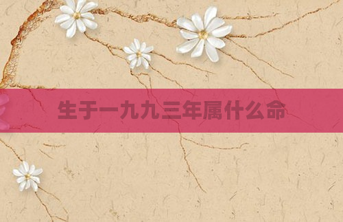 生于一九九三年属什么命