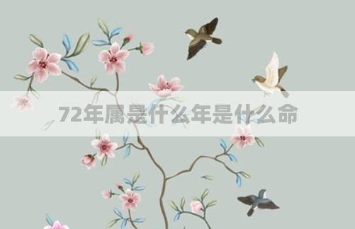 72年属是什么年是什么命
