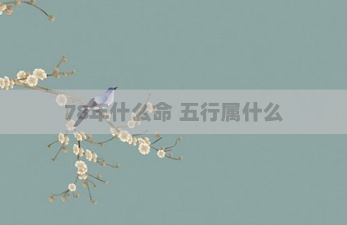 78年什么命 五行属什么