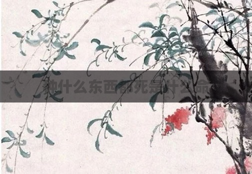 种什么东西都死是什么命