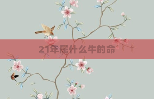 21年属什么牛的命