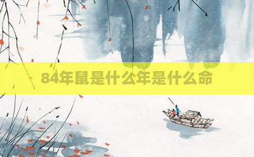 84年鼠是什么年是什么命