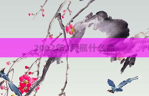 2002年3月属什么命