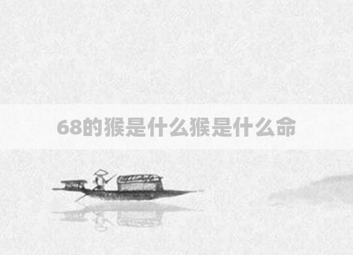 68的猴是什么猴是什么命