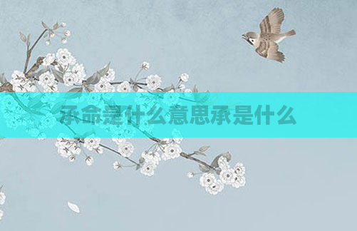 承命是什么意思承是什么